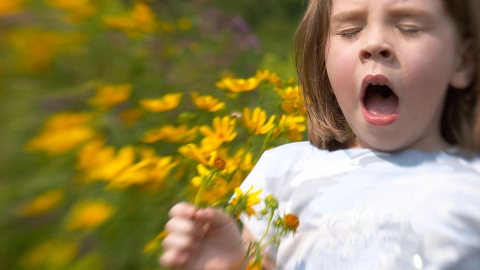 Ein Mädchen steht in einer Blumenwiese und hält mehrere kleine Sonnenblummen in einer Hand. Das Mädchen hat den Mund geöffnet, die Augen geschlossen und muss niesen. Offenbar reagiert sie allergisch auf die Pflanzen um sich herum.